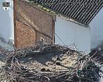 Capi_Dubne_20251003_170002.jpg