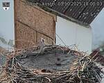 Capi_Dubne_20251003_180003.jpg