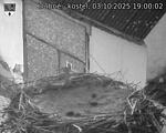 Capi_Dubne_20251003_190002.jpg