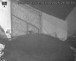 Capi_Dubne_20251003_200003.jpg