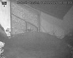 Capi_Dubne_20251004_000003.jpg