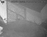 Capi_Dubne_20251004_010003.jpg