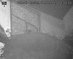 Capi_Dubne_20251004_040003.jpg
