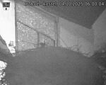 Capi_Dubne_20251004_060004.jpg