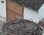 Capi_Dubne_20251004_090002.jpg