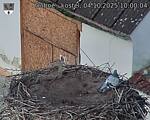 Capi_Dubne_20251004_100004.jpg