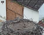 Capi_Dubne_20251004_110004.jpg