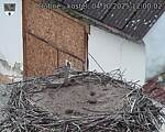Capi_Dubne_20251004_120002.jpg