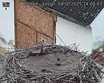 Capi_Dubne_20251004_140003.jpg