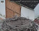 Capi_Dubne_20251004_150002.jpg