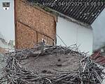 Capi_Dubne_20251004_160003.jpg