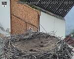 Capi_Dubne_20251004_170003.jpg