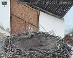 Capi_Dubne_20251004_180002.jpg