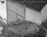 Capi_Dubne_20251004_190002.jpg