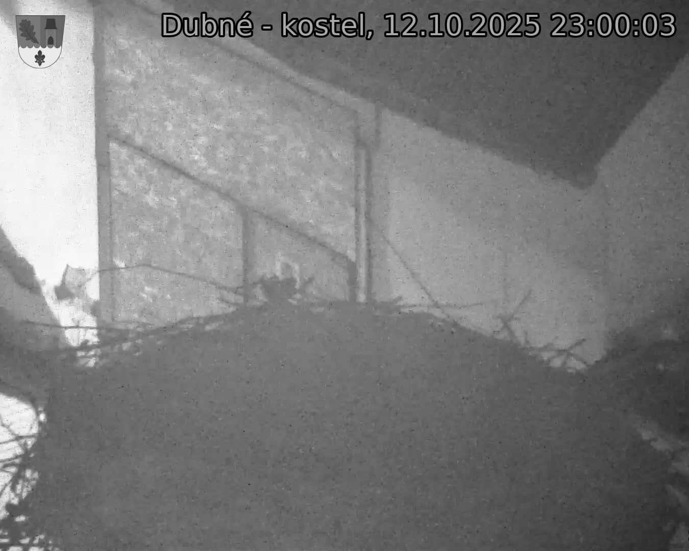 Capi_Dubne_20251012_230003.jpg (1350 x 1080)