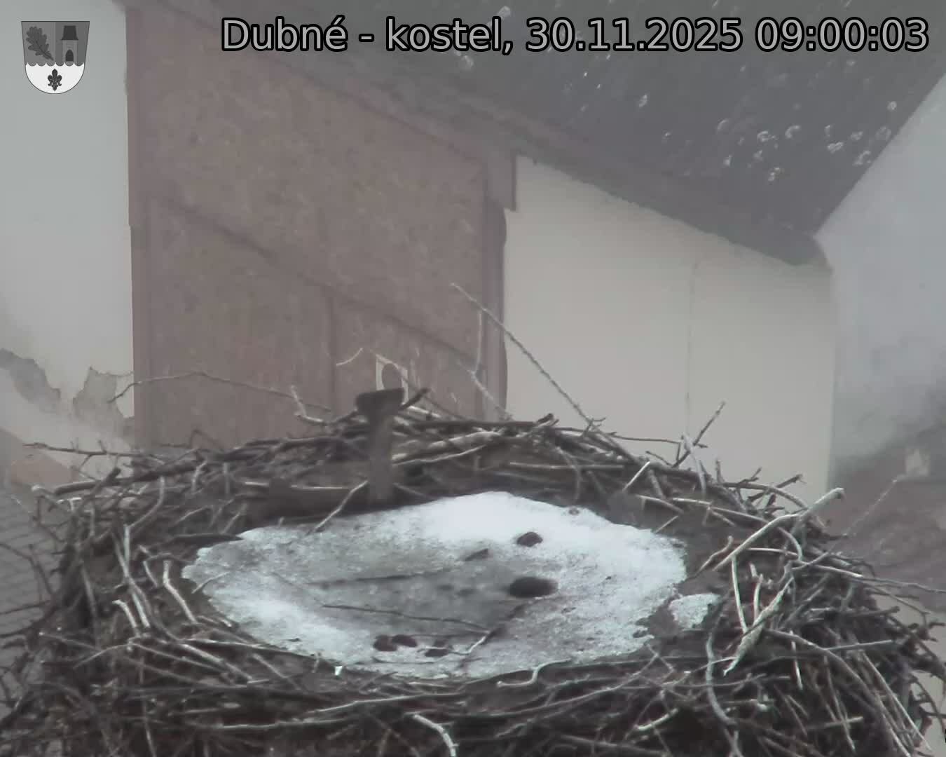 Capi_Dubne_20251130_090003.jpg (1350 x 1080)