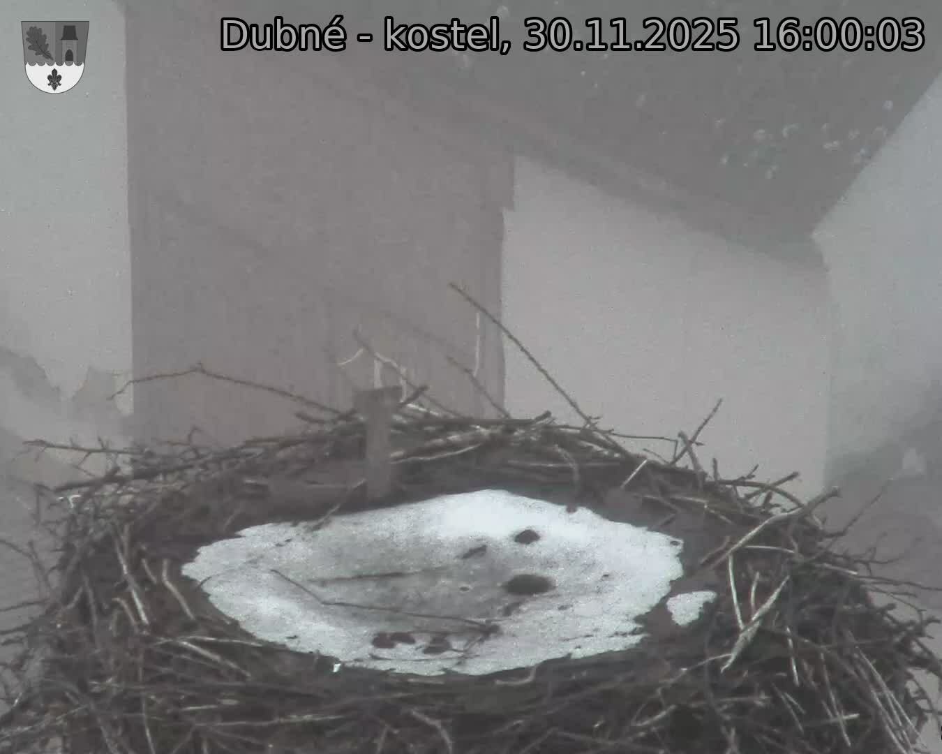 Capi_Dubne_20251130_160003.jpg (1350 x 1080)
