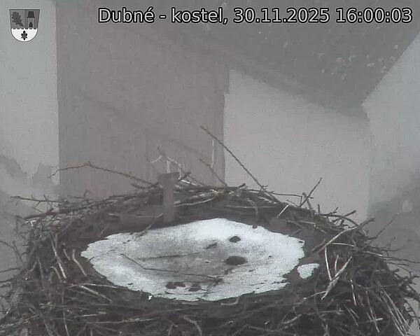 Capi_Dubne_20251130_160003.jpg (1350 x 1080)