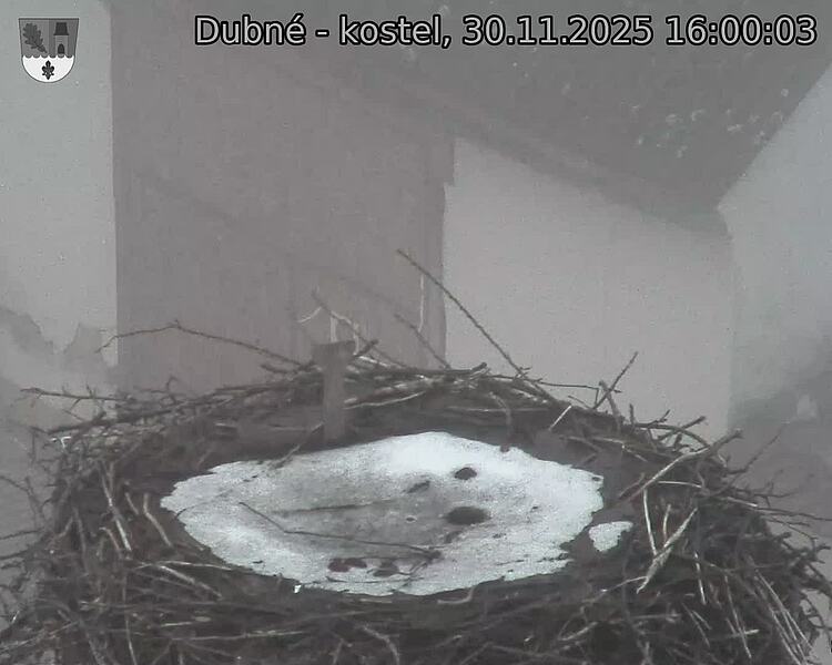 Capi_Dubne_20251130_160003.jpg (1350 x 1080)