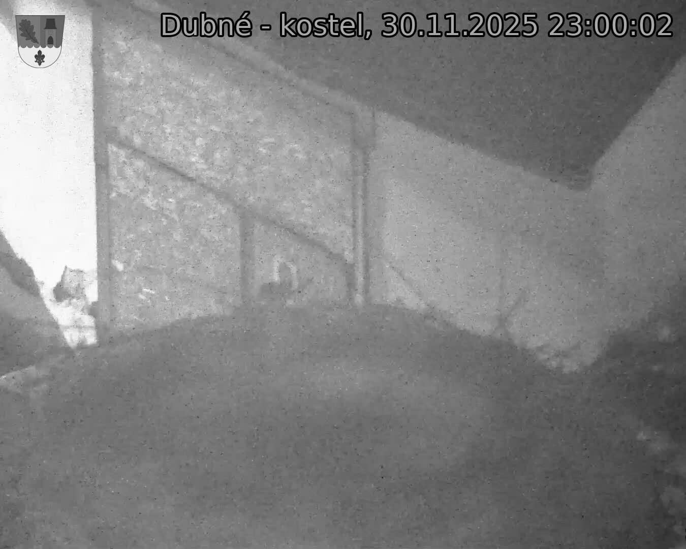 Capi_Dubne_20251130_230002.jpg (1350 x 1080)