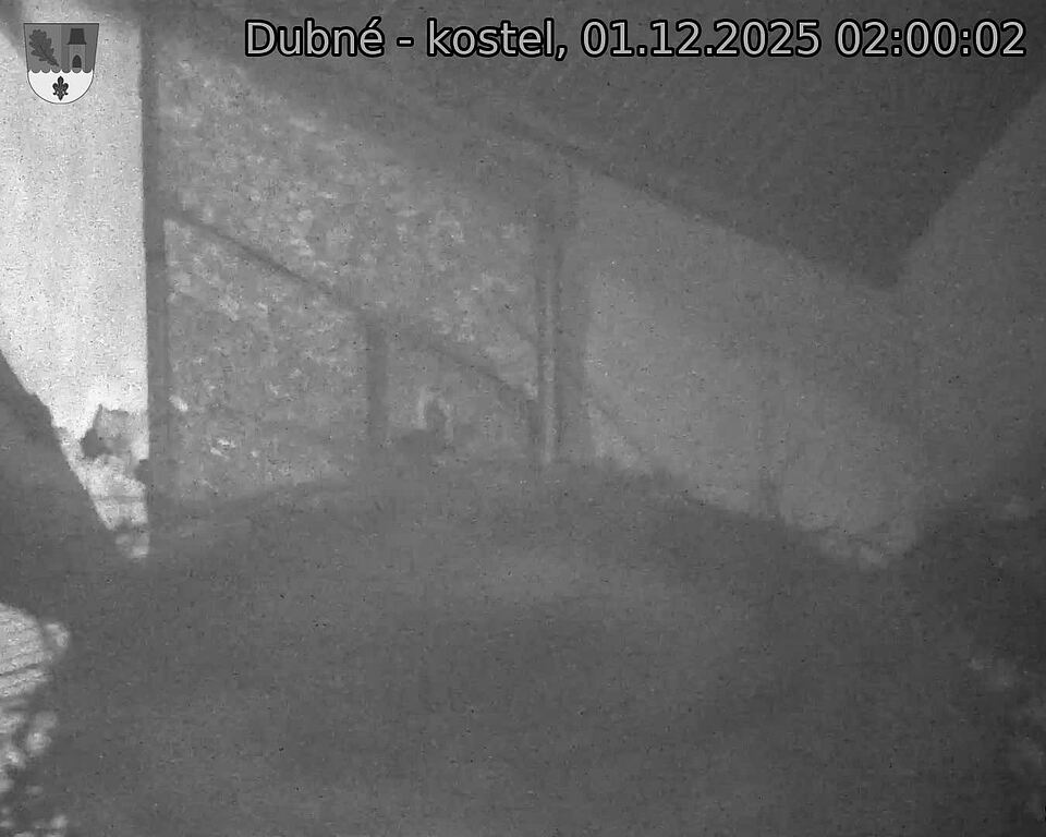 Capi_Dubne_20251201_020002.jpg (1350 x 1080)