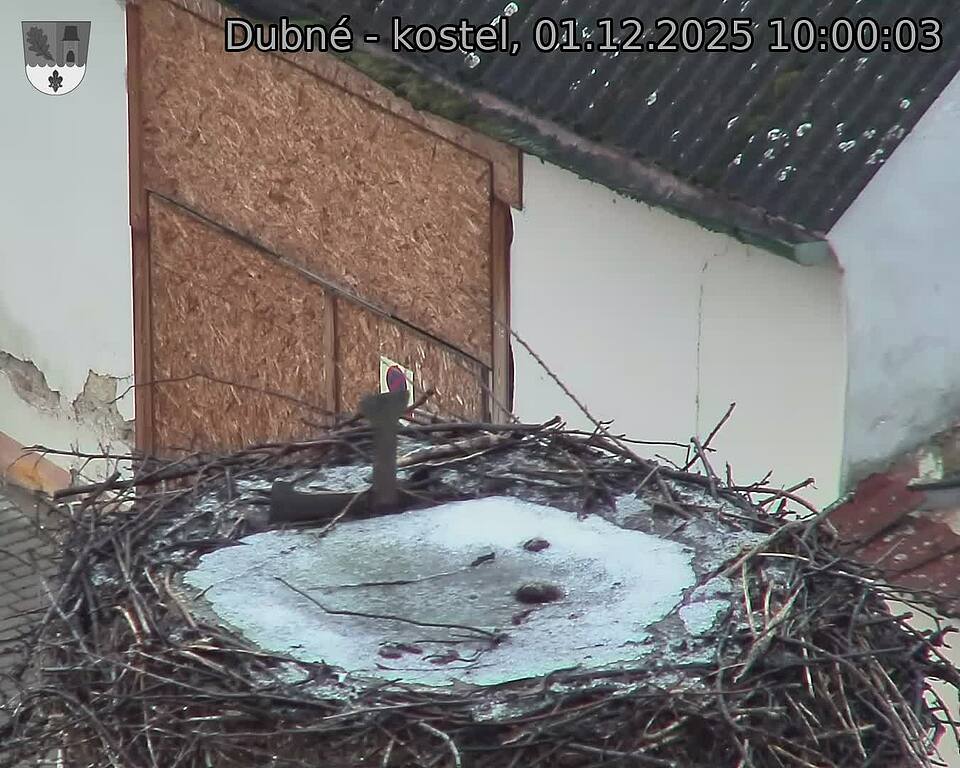 Capi_Dubne_20251201_100003.jpg (1350 x 1080)