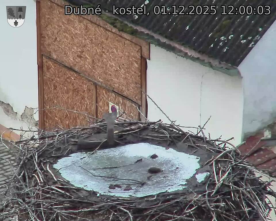 Capi_Dubne_20251201_120003.jpg (1350 x 1080)