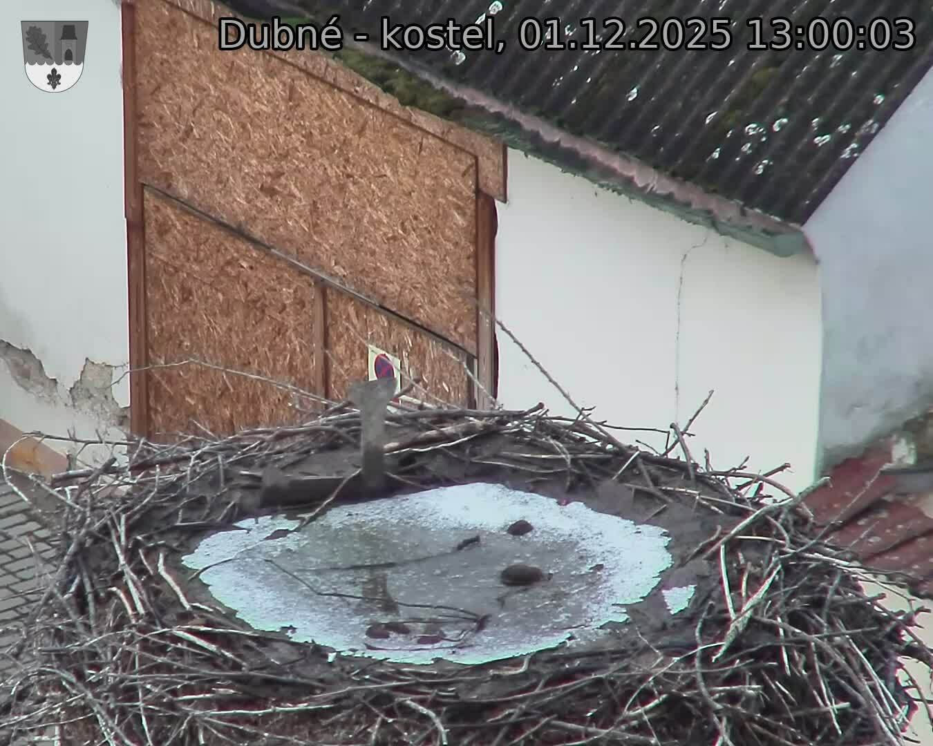 Capi_Dubne_20251201_130003.jpg (1350 x 1080)