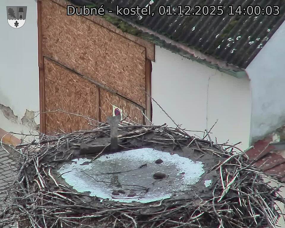 Capi_Dubne_20251201_140003.jpg (1350 x 1080)