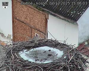 Capi_Dubne_20251201_150003.jpg (1350 x 1080)