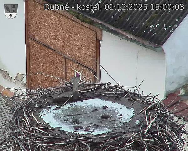 Capi_Dubne_20251201_150003.jpg (1350 x 1080)