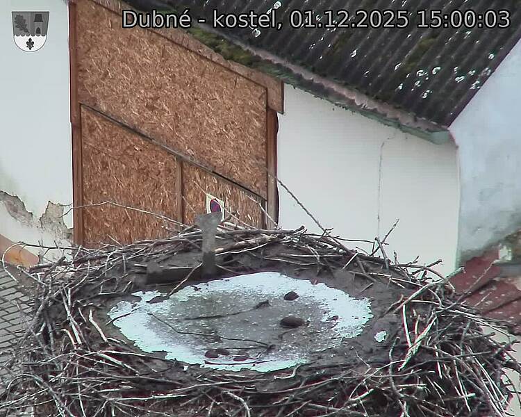 Capi_Dubne_20251201_150003.jpg (1350 x 1080)