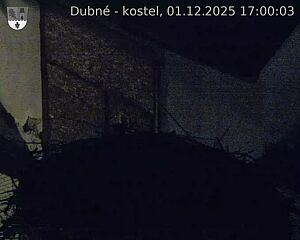 Capi_Dubne_20251201_170003.jpg (1350 x 1080)