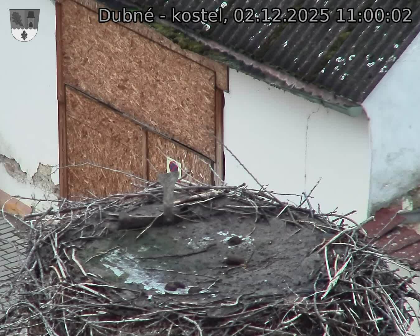 Capi_Dubne_20251202_110002.jpg (1350 x 1080)