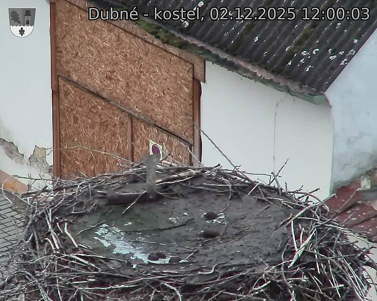 Capi_Dubne_20251202_120003.jpg (1350 x 1080)