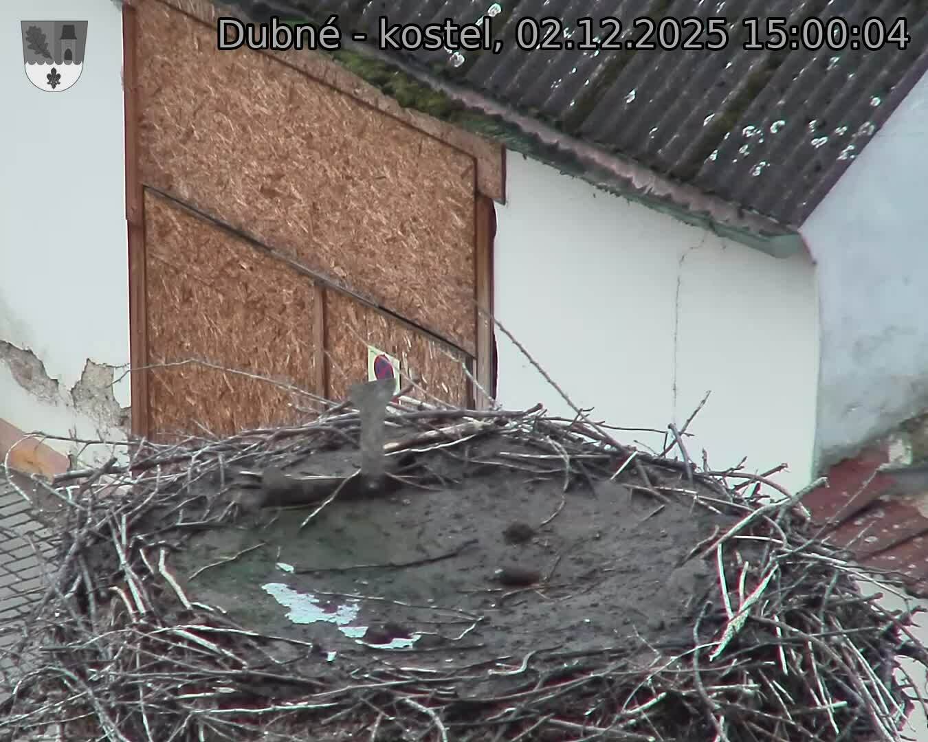 Capi_Dubne_20251202_150004.jpg (1350 x 1080)