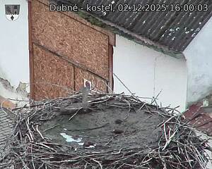 Capi_Dubne_20251202_160003.jpg (1350 x 1080)