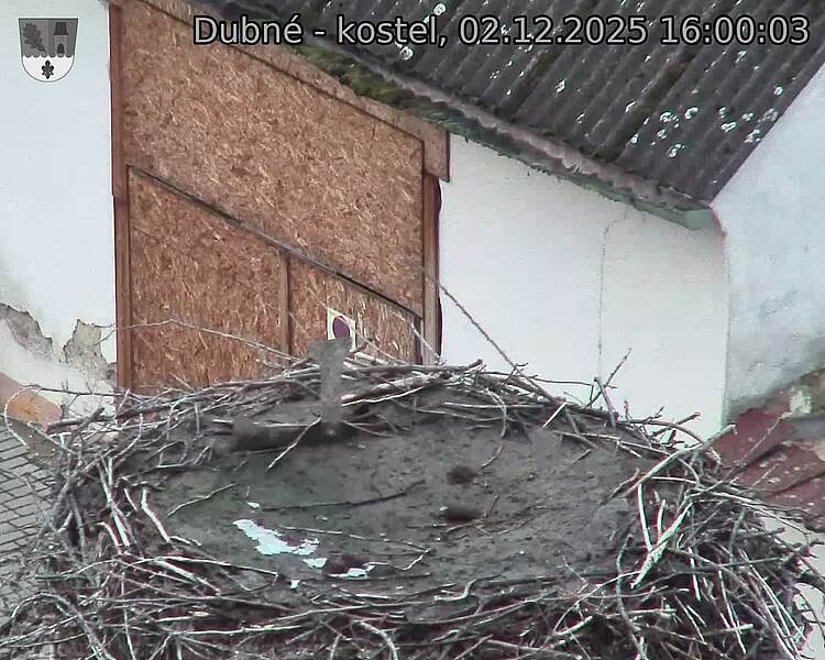 Capi_Dubne_20251202_160003.jpg (1350 x 1080)