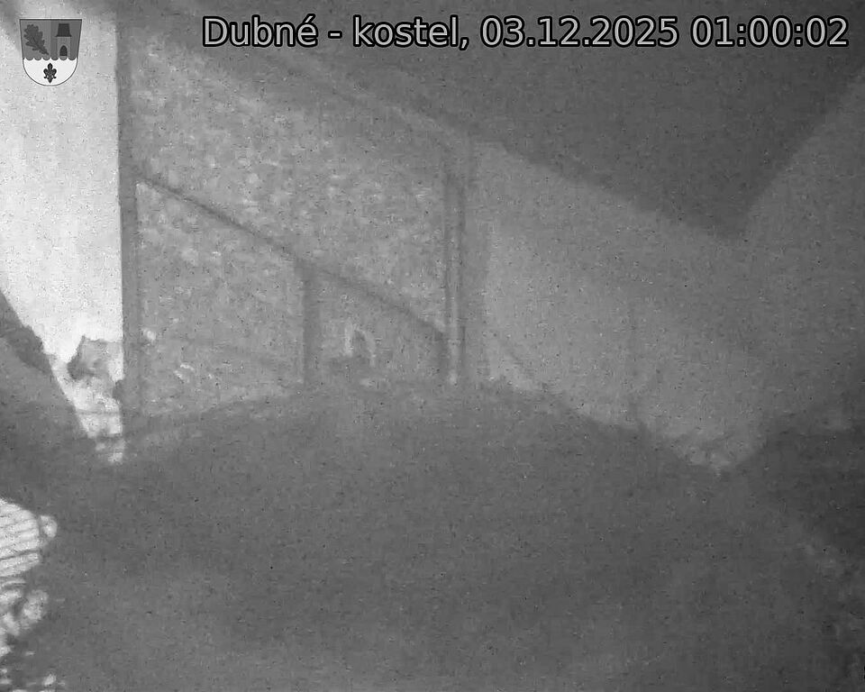 Capi_Dubne_20251203_010002.jpg (1350 x 1080)