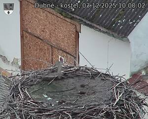 Capi_Dubne_20251203_100002.jpg (1350 x 1080)