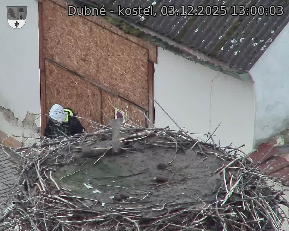 Capi_Dubne_20251203_130003.jpg (1350 x 1080)