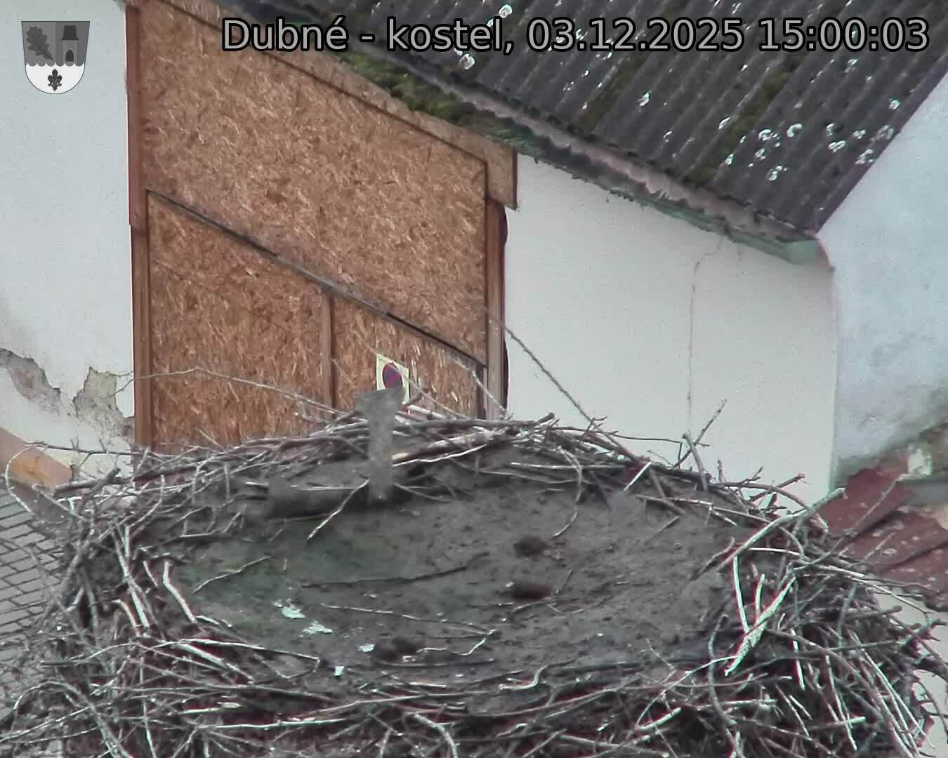 Capi_Dubne_20251203_150003.jpg (1350 x 1080)