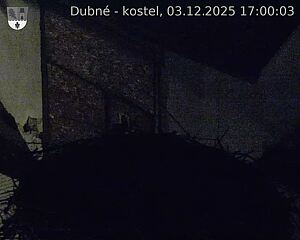 Capi_Dubne_20251203_170003.jpg (1350 x 1080)