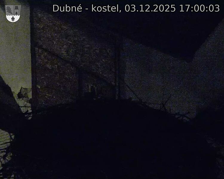 Capi_Dubne_20251203_170003.jpg (1350 x 1080)