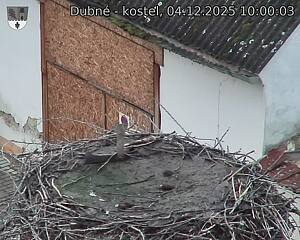 Capi_Dubne_20251204_100003.jpg (1350 x 1080)