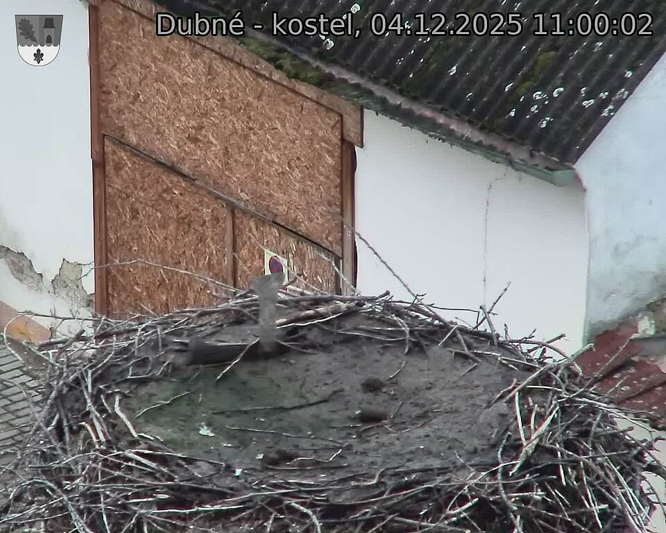 Capi_Dubne_20251204_110002.jpg (1350 x 1080)