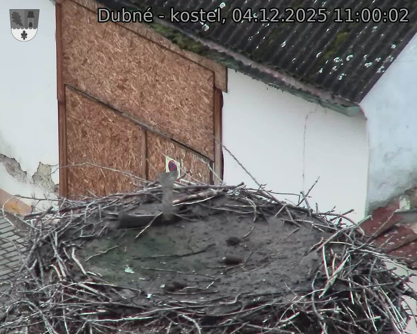 Capi_Dubne_20251204_110002.jpg (1350 x 1080)