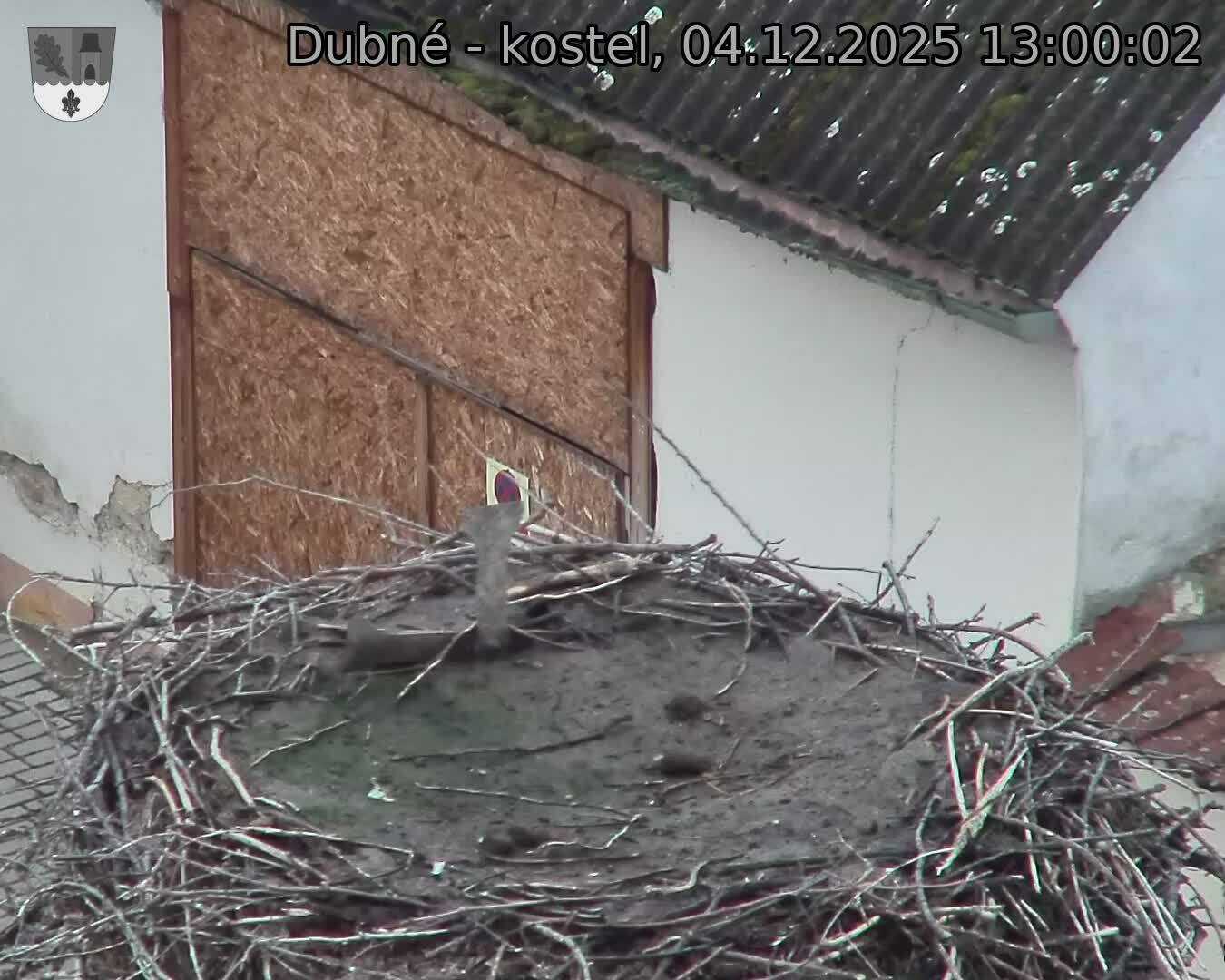 Capi_Dubne_20251204_130002.jpg (1350 x 1080)
