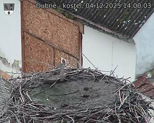 Capi_Dubne_20251204_140003.jpg (1350 x 1080)