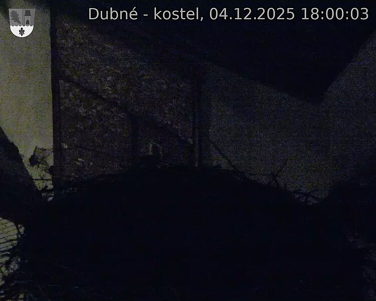 Capi_Dubne_20251204_180003.jpg (1350 x 1080)